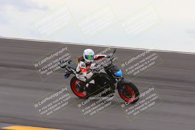 media/Jan-15-2023-SoCal Trackdays (Sun) [[c1237a034a]]/Bowl (1125am)/